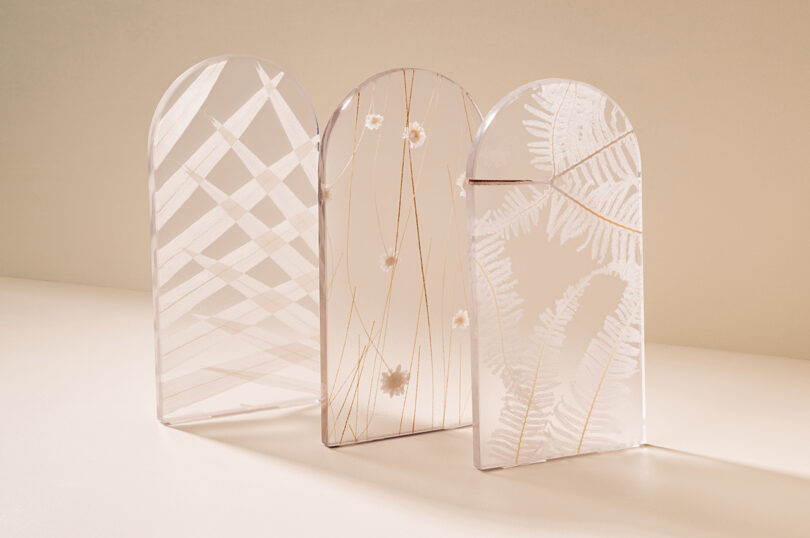 three examples of biophilia patterns on a frosted white substrate material