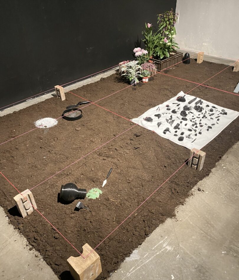 A plot of earth is measured out with wooden stakes and string. Various artefacts have been layed out on a white cloth and tools can be seen in the soil. There are some plants in the far corner. 
