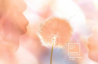 Pantone Color of the Year 2024: PANTONE 13-1023 Peach Fuzz