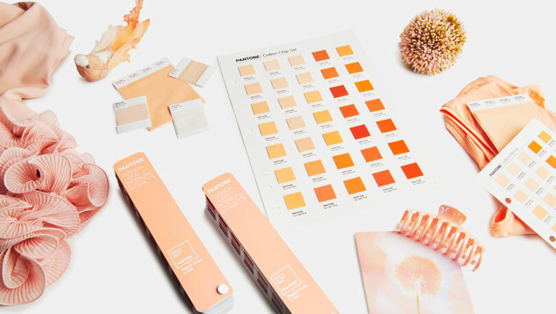 flat lay image of pantone swatch book, sheet of gradient shades of peach, and fashion accessories in peach