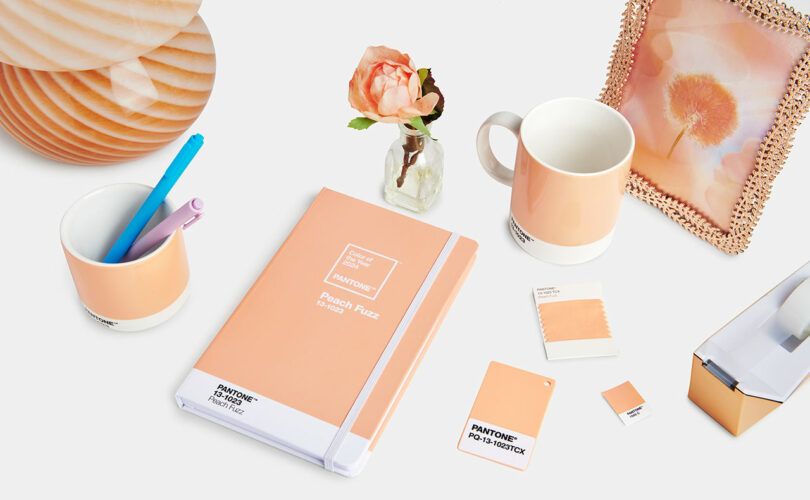 flat lay of new Pantone Color of the Year 2024 peach fuzz colored Pantone merchandise