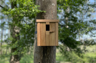 Bring All the Birds to the Yard With Ucci's Nesting Boxes